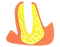 OAM使用